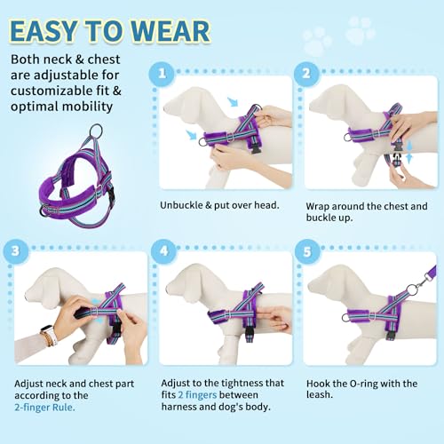 SlowTon No Pull Small Dog Harness and Leash Set, Puppy Soft Vest Harness Neck & Chest Adjustable, Reflective Lightweight Harness & Anti-Twist Pet Lead Combo for Small Medium Dogs (PU-Front Clip, XXS) - color: B-Purple - With Front Clip, size: XX-Small