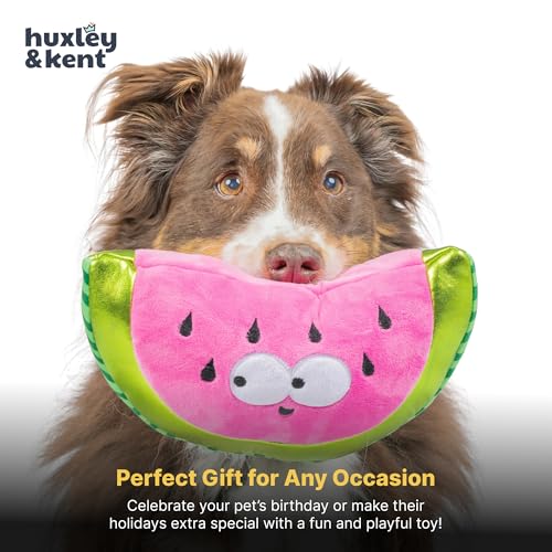 Huxley & Kent Funny Dog Toy w/Squeaker – Power Plush Squeaky Dog Toys for Small, Medium & Large Dogs – Soft Stuffed Animal for Indoor Play & Fetch - Fetchies® Walter Melon, Small - size: Small, style: Walter Melon