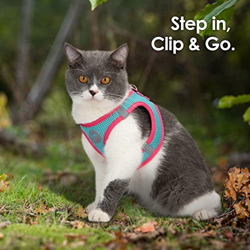 PHOEPET Step-in Dog Harness,Reflective Adjustable Dog Vest Harness, Soft Pet Walking Jacket with 2 Metal Leash Hooks for Dog and Cat(Mint Green Base & Pink Straps,XL) - color: Mint Green Base & Pink Straps, size: XL (Neck: 13.5-15.5”,Chest: 18-20.5”)