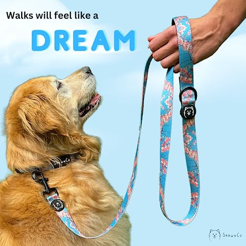 ShawnCo Dream Walk Dog Leash- Premium, Nylon Pet Leash with Soft Neoprene Handle for Small, Medium and Large Dogs (Pacific Blue, Small) - color: Pacific Blue, size: Small