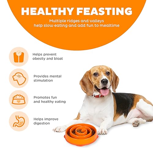 Outward Hound Fun Feeder Dog Bowls, Slow Feeders for Dogs, Medium/Mini, Turquoise and Orange