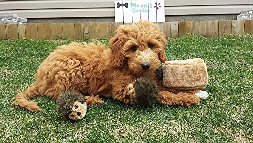 ZippyPaws Burrow Replacement Miniz - Interactive Dog & Puppy Toys for Boredom, Stimulating Pet Products to Keep Them Busy, Plush Refills for Hide & Seek Puzzle, Squeaky Toy for Enrichment - Hedgehogs - style: Hedgehogs (3-pack)