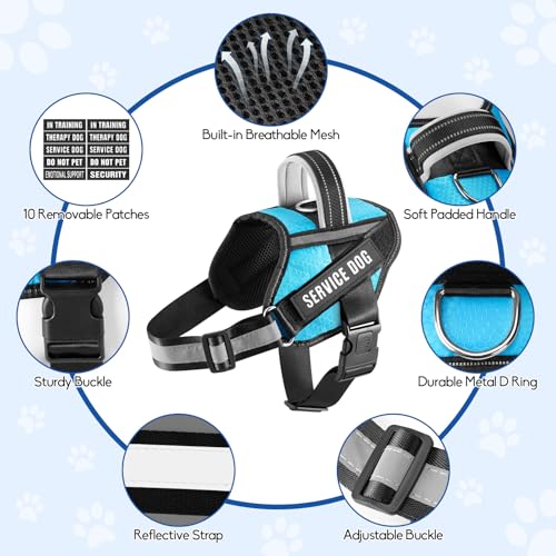 Service Dog Vest Harness and Leash Set, Animire in Training Dog Harness with 10 Dog Patches, Reflective Dog Leash with Soft Padded Handle for Dogs (Light Blue,Xs) - color: Light Blue, size: XS