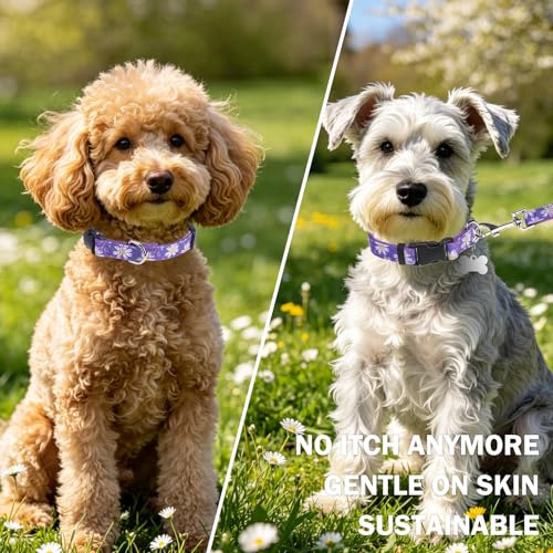 Dog Collar and Leash Set, Adjustable Dog Collars for Small Medium Dogs Boys Girls, Soft Durable Nylon Collar and Matching Leash, Cute Puppy Collars,Purple - color: Purple flower, size: Small(Neck:11.8"-16.2")