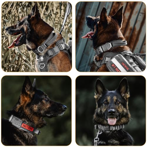 OneTigris Tough Dog Collars, Tactical Dog Collar with Handle, Milltary Adjustable Dog Collar with Heavy Duty Metal Buckle for Training (Gray, S) - color: Gray, size: S
