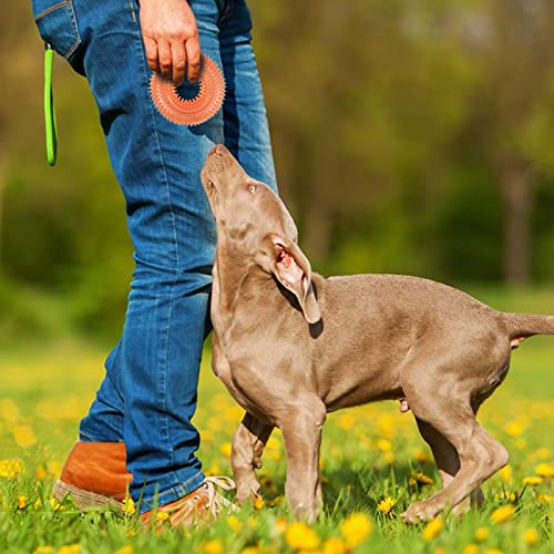 Andiker Squeaky Dog Toy, TPR Chewable Dog Toys for Teeth Grinding&Cleaning Dogs Fetch Toys for Enhancing Interactivity Outdoor Suitable for All Dog Sizes Puppy’s Gifts and Dog Lovers (Large Orange) - size: Large Orange