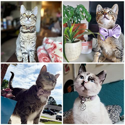 Cat Collar Personalized with Name Phone Number Engraved,Customized with Bell for Small Dogs Puppy Kitten - color: Yellow, size: S (6"-10")