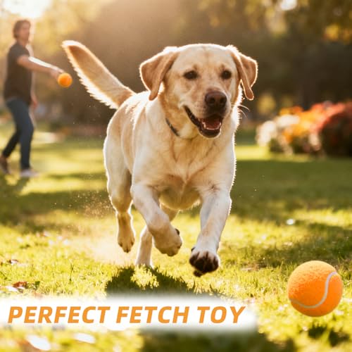 PoyPet 16-Pack Tennis Balls Bulk for Practice,Training and Beginners | Ideal for Dog Fetch,Chew and Play - color: Light Orange