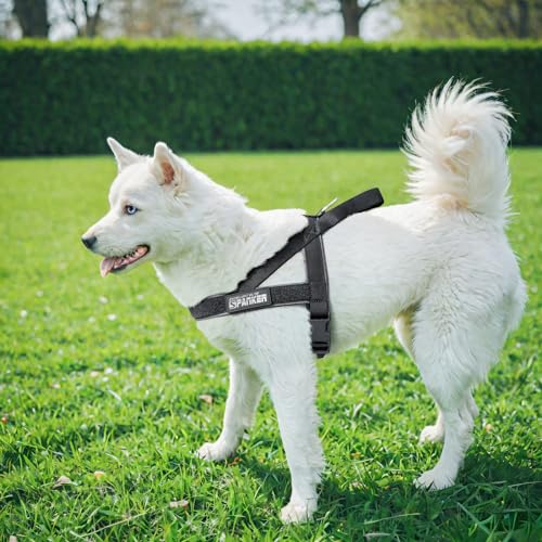 EXCELLENT ELITE SPANKER No Pull Dog Harness Padded Military Patrol Vest Adjustable Nylon Small Service Walking Dog Harness with Handle for Training Running(Grey-S) - color: Grey, size: S-(Chest 19.5-25.5")