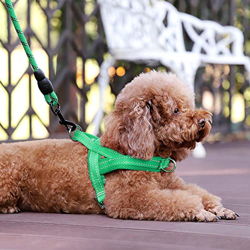 Plutus Pet No Pull Dog Harness with Breathable Mesh Padded, Adjustable Reflective Escape Proof Dog Harness, Quick Fit Dog Vest Harness for Small Medium Large Dogs(XS, Green) - color: Green, size: XS: chest 13.8"-17.3"