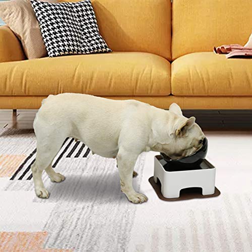 Raised Tilted Dog Feeding Bowl,Elevated Ceramic Dog Bowls Set Anti-Slip,Standing Pet Feeding Dish for Small Medium Dogs and Cats,Black - color: Black