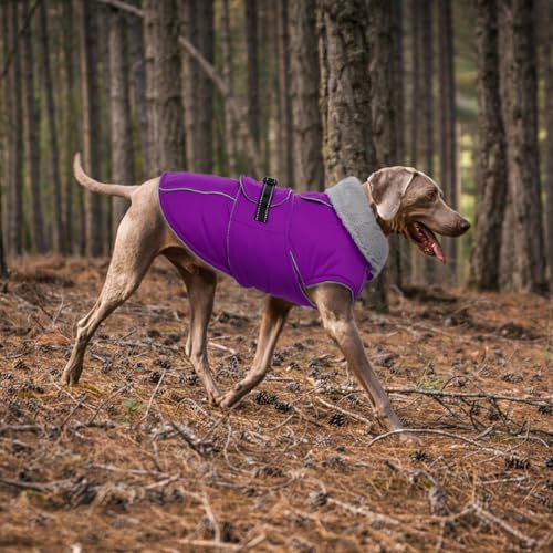 Lelepet Warm Dog Winter Coats for Medium Dogs Waterproof Dog Jacket Reflective Pet Fleece Vest Windproof Cold Weather Coats with Adjustable Buckle & Leash Hole, Purple, M - color: Purple, size: M
