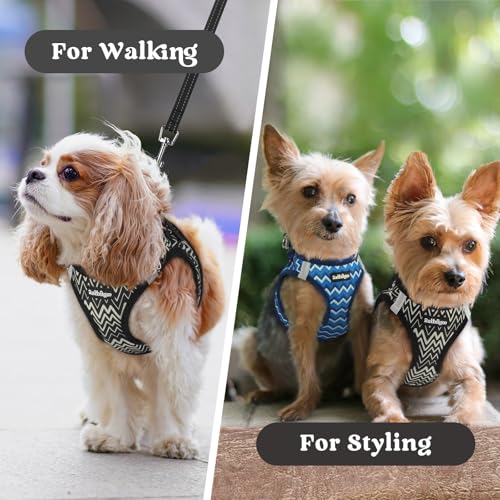 rabbitgoo Small Dog Harness, Step-in Soft Mesh Puppy Vest with Safety Buckle, Breathable Reflective Pet Harness for Small Sized Dogs, Black Zigzag XXS - color: Black Zigzag, size: Xxs(chest:12.4"-14.2")