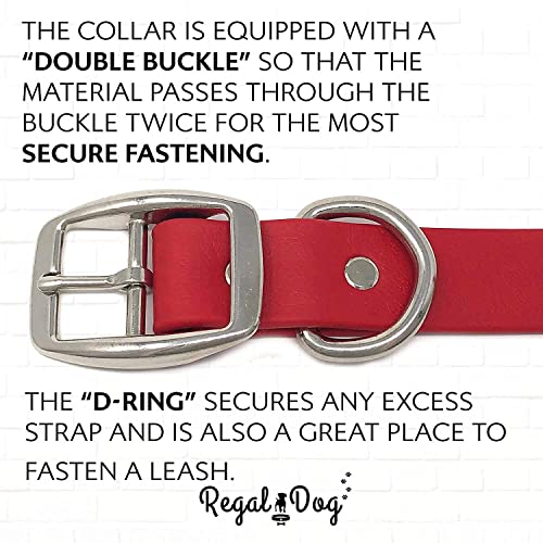 Regal Dog Products Medium Red Waterproof Dog Collars with Custom Engraved Name Plate | Vinyl Coated, Anti, Easy to Clean Personalized Biothane Dog Collar - Other Sizes for Small & Large Dogs - color: Red, size: Medium Collar