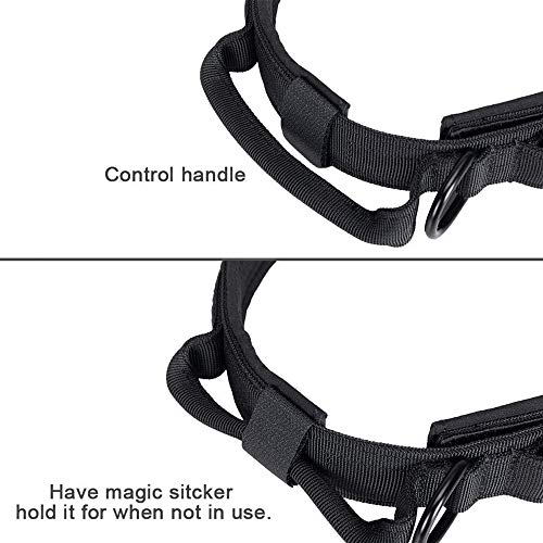 Tactical Dog Collar and Leash Set Adjustable Military Nylon Dog Collar with Control Handle and Heavy Duty Metal Buckle for Large Dogs (Black S - color: Black SET(collar+leash), size: Small (Pack of 1)