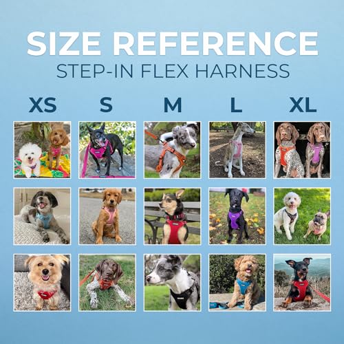 Best Pet Supplies Voyager Adjustable Step-in Flex Breathable Mesh Dog Harness for Small Medium Large Dogs (Fuchsia), XS - color: Harness (Fuchsia), size: XS