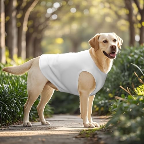 SWEET TANG Dog Cooling Shirts White, Medium Large Dog Summer T-Shirts, Quick Dry, Breathable, Stylish Beach Wear, 3X-Large - color: Pattern (443), size: 3X-Large