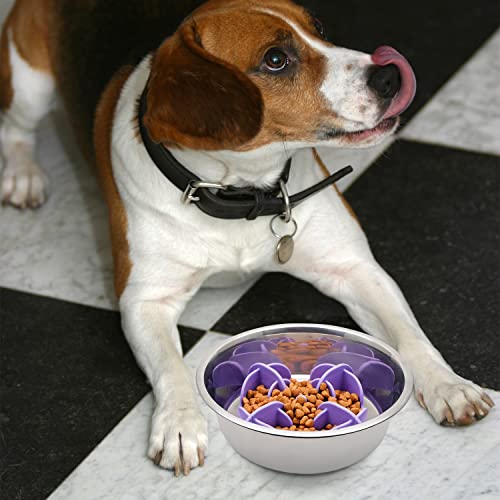 Jaoul Slow Feeder Dog Bowls Insert, 5.4 Inch Cuttable Slow Feeder Insert with 17 Octopus Suction Cups for Small Size Dog Food Bowl (Small, Purple) - color: Purple, size: Cuttable(Small)