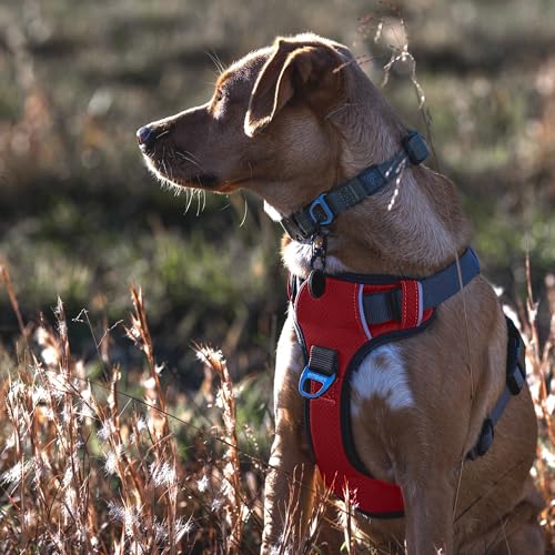 Embark Adventure Small Dog Harness – No-Pull, Reflective Trim, Military-Grade Nylon, Front Clip with Gel-Lined Handle - color: Red, size: S
