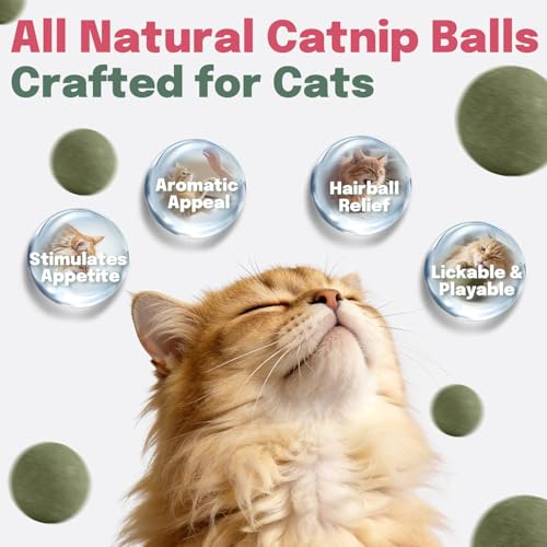 Cat Nip Balls, 4 Catnip Balls and 2 Gall Fruit Balls, Catnip Licking Ball Toys for Indoor Cats
