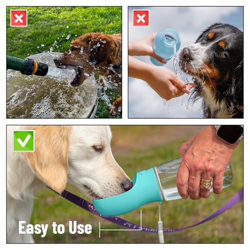 Mr. Pen- Portable Dog Water Bottle, 19 oz, Large, Leak Proof Puppy Water Dispenser with Drinking Feeder for Pets, Outdoor Walking, Hiking, Travel, Not Dishwasher Safe - color: Aqua