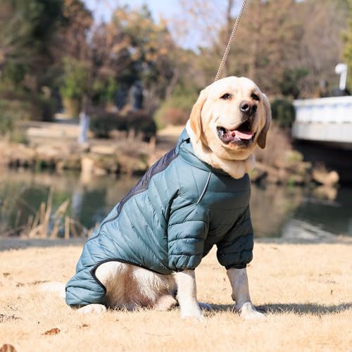 ArmyGreen Dog Jumper, Windproof, Reflective - Dirigible Winter Jacket for S, M, L - Zip, Adjustable Sizes - color: Armygreen, size: S (11inch Back)