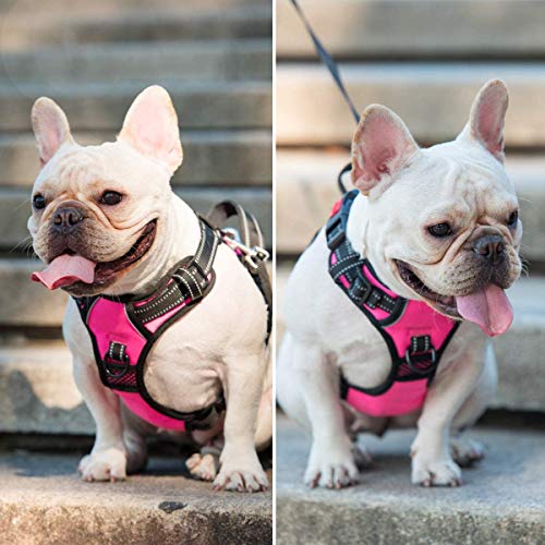 PoyPet No Pull Dog Harness, No Choke Front Lead Dog Reflective Harness, Adjustable Soft Padded Pet Vest with Easy Control Handle for Small to Large Dogs(Pink,XS) - color: Pink, size: XS