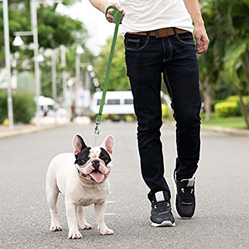 Downtown Pet Supply - Long Dog Training Leash for Recall & Obedience - Nylon, 30 ft, Hunter Green - color: Hunter Green, size: 30 Foot