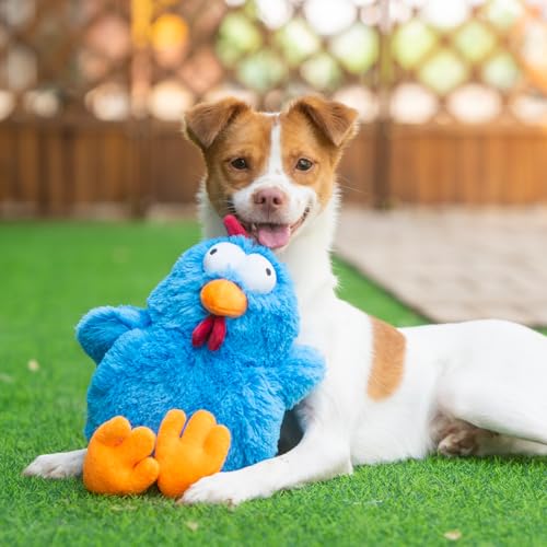 Best Pet Supplies Interactive Squeaky Dog Chew Toy, Ideal Dog Toys for Chewers, Small, Medium & Large Dogs, and Fetch Lovers - Cluck (Blue), Large - color: Cluck (Blue), size: Large