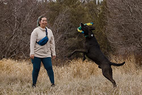 Ruffwear, Pacific Loop Dog Toy, Interactive Tug Toy for Playing and Training, Aurora Teal - color: Aurora Teal