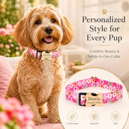 Custom Dog Collar with Engraved Name & Phone Number, Personalized Anti-Lost Pet Collar, Adjustable Durable Soft Collar for X-Small Small Medium Large X-Large Dogs, Outdoor Walking Training Daily Wear - color: New bone buckle