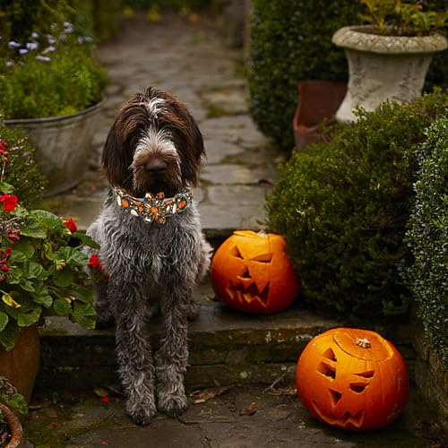 Halloween Dog Collar, Ghost Print Adjustable Pet Collar Fall Pumpkin Cute Cotton Soft Collars with Flower Tie Fall Metal Buckle Holiday Puppy Collars Boy&Girl Gift for X-Small Dogs - color: B:Ghost and Pumpkin, size: X-Small (Pack of 1)