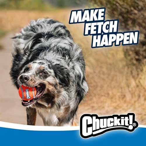 Chuckit! Dog Ball Launcher 12M Sport with 12" Handle Length for Medium 2.5" Dog Balls For Dogs 20-60 lb, Plastic Pet Fetch Ball Thrower, Perfect for Kids, Made in USA, Blue - size: 12in, style: Sport