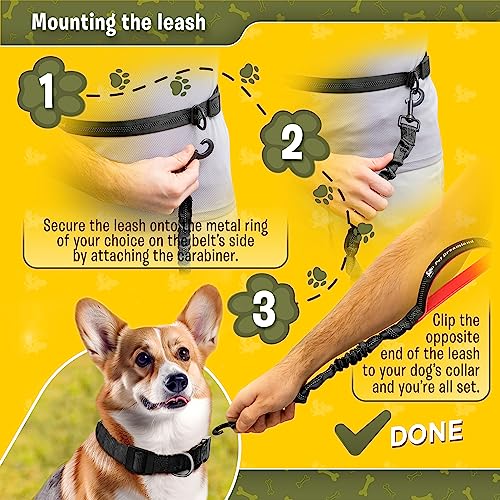Exquisite Hands-Free Leash for Medium Dogs: Ultimate Comfort & Freedom for Running, Walking, Hiking. Premium Quality, Durable & Versatile Waist Dog Leash Belt. Your Dog Will Love It - color: Black & Red