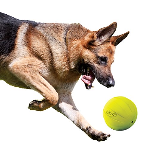 Nerf Dog Rubber Ball Dog Toy with Squeaker, Lightweight, Durable and Water Resistant, 4 Inch Diameter for Medium/Large Breeds, Single Unit, Green - color: Green, size: 1 Count (Pack of 1), style: Single