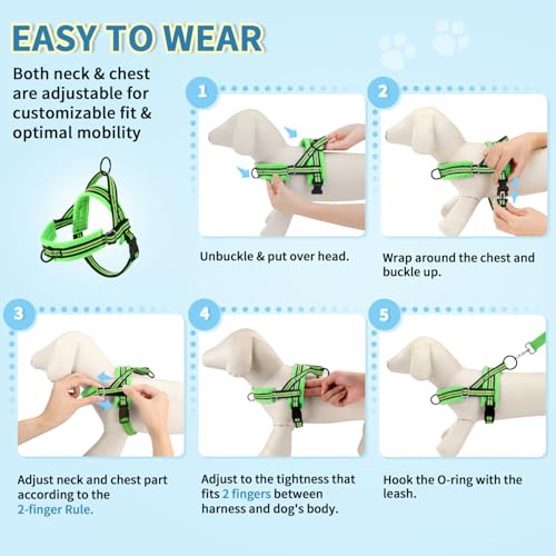 Lukovee Soft Padded Small Dog Harness (X-Small, Green) with 4ft Lightweight Leash, Adjustable Reflective Vest for Walking, Running, Hiking, Training - color: Green - with Stripe, size: XS ( Chest 14'' ~ 18'')