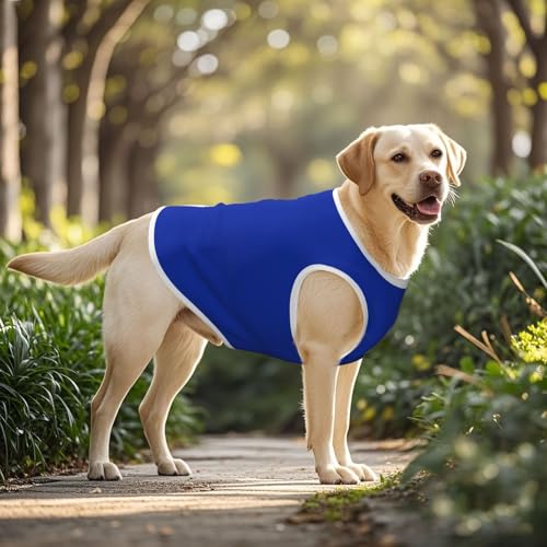 SWEET TANG Cooling Dog Summer T-Shirt Blue, Quick Dry Breathable Mesh Outfits for Medium Large Dogs Puppy, XX-Large - color: Pattern (441), size: XX-Large