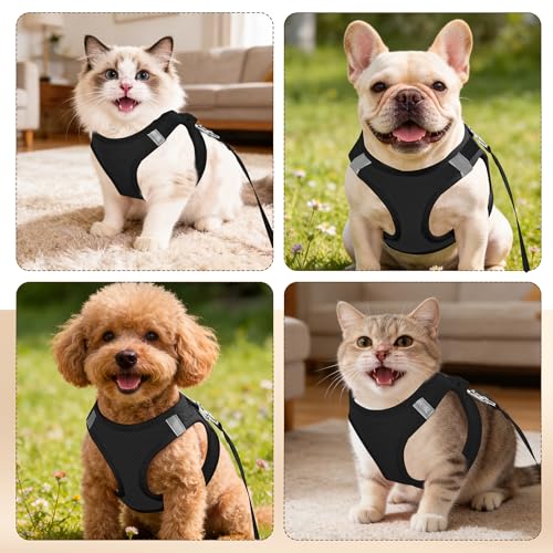 Pet Harness No Pull for Small Dogs and Cats, Adjustable Hook & Loop Fastener with Snap Buckle and Double D-Rings, 0.55FIT Breathable Mesh, Black, S - color: Black, size: S