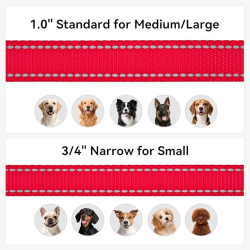 Joytale Dog Leash, 4 FT Double-Sided Reflective, Padded Handle Nylon Heavy Duty Leashes for Small Dogs Walking, Red - color: Red, size: 4 ft Narrow