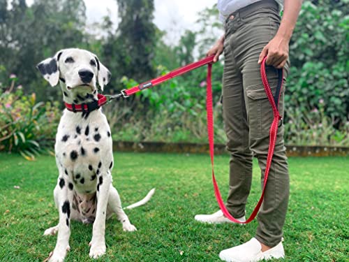 Tuff Pupper Heavy Duty Double Handle Leash - Twist Lock Carabiner Clip for Strong Medium & Large Dogs - Reflective, 6FT - color: March Red