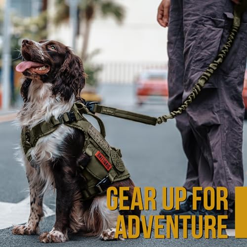 OneTigris Tactical Dog Training Bungee Leash with 2 Control Handle Quick Release Nylon Leads Rope(Ranger Green) - color: Green