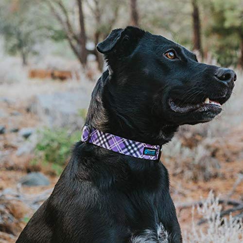 Max and Neo Plaid Pattern NEO Dog Collar - We Donate a Collar to a Dog Rescue for Every Collar Sold (Purple, Small) - color: Purple Plaid, size: Small