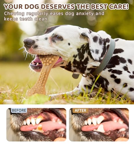 Durable Dog Chew Toy for Aggressive Chewers, Tough Dental Toy for Teeth Cleaning, Boredom & Anxiety Relief, Long-Lasting Toy for All Dog Sizes & Teething Puppies, Keep Them Busy