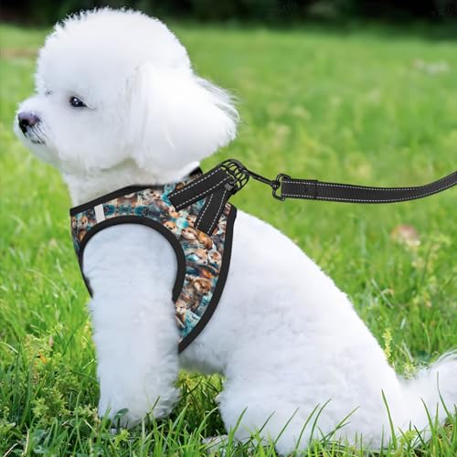 Cute Otter Pet Harness Escape Proof Dog Harness Adjustable Mesh Padded Reflective Dog Vest Harness and Leash Set Large - color: Style 1, size: Large