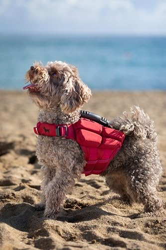 NOAH & PAW Dog Life Jacket, Human Standards Lifejacket Design, Dog Life Vest for Swimming and Boating, 3X Foam Support for Max Floating, Breathable Mesh, Salvavidas para Perros, Size XS - size: XS