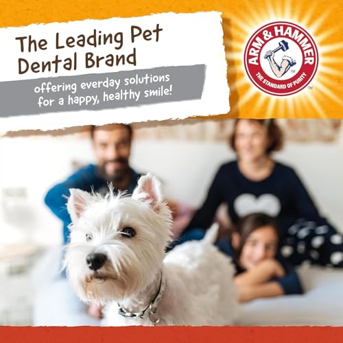 Arm and Hammer for Pets Super Treadz Mini Gorilla Dental Chew Toy for Dogs - Reduces Plaque and Tartar Without Brushing, Baking Soda Infused, Dishwasher Safe, Dogs Up to 25 Lbs, 3.5 Inch - 3 Pack - size: Small (Pack of 3), style: Gorilla