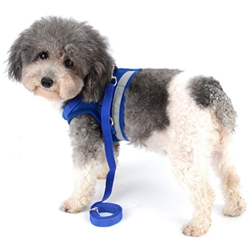 Zunea Dog Harness & Leash Set - Small Dogs & Cats (7-11lbs), Blue, Mesh, Reflective, Adjustable, No Pull, Quick Release, Step-in Vest Harness - color: Blue, size: M (Chest:15.5 Inch, for 7-11lbs)
