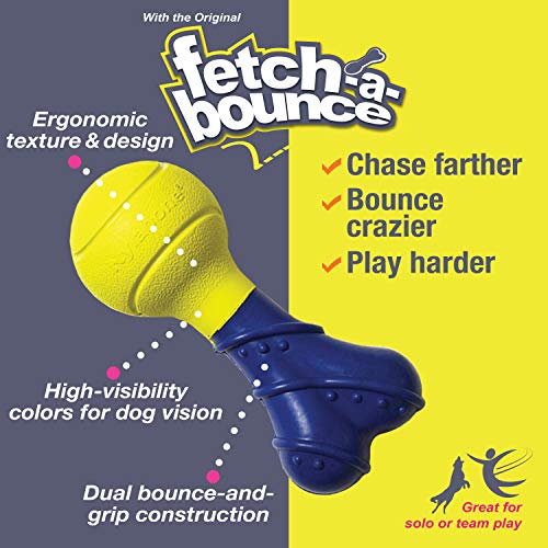Nylabone Power Play Fetch-a-Bounce Interactive Play Toy, Fetch Toy for Dogs, Small (1 Count)