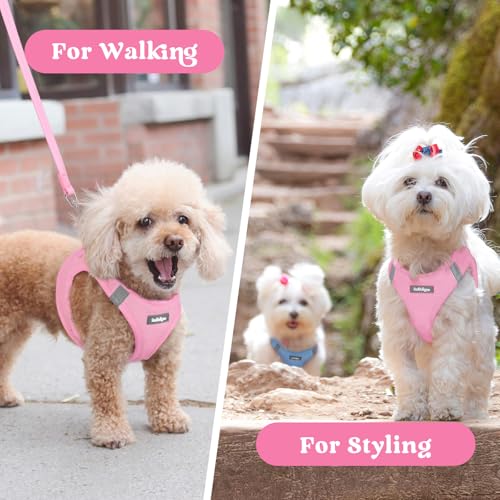 rabbitgoo Small Dog Harness, Step-in Soft Mesh Puppy Vest with Safety Buckle, Breathable Reflective Pet Harness for Small Medium Dogs, Light Pink XL - color: Light Pink, size: Xl(chest:20.0"-21.8")