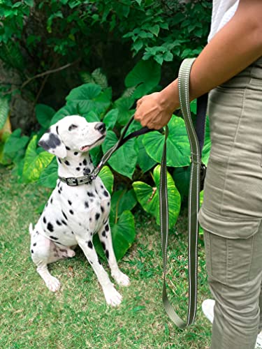 Tuff Pupper Heavy Duty Double Handle Leash with Twist Lock Carabiner Clip | Safety Lock for Strong Dogs | Reflective for Night Walks | 6ft for Medium & Large Dogs - color: Olive